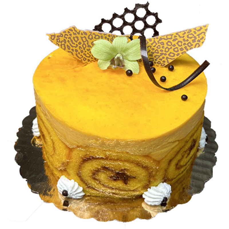 Apricot Mousse Torte 2