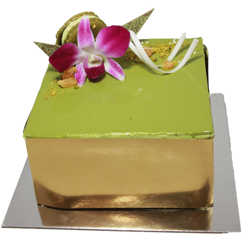 PistachIcon 768x716